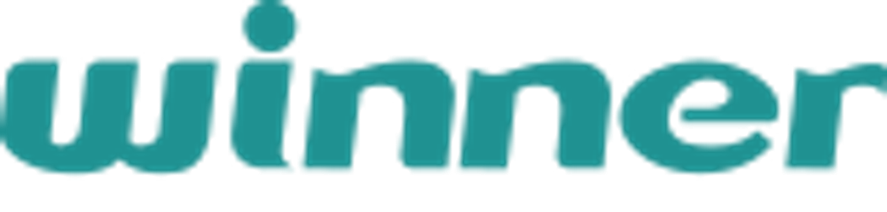 Winner Medical logo